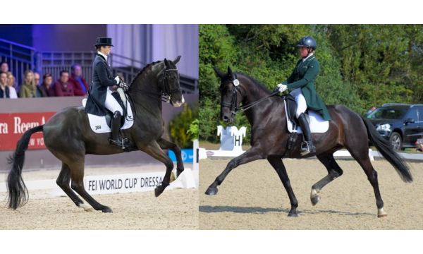 Two Irish Riders in the Top 150 in the World
