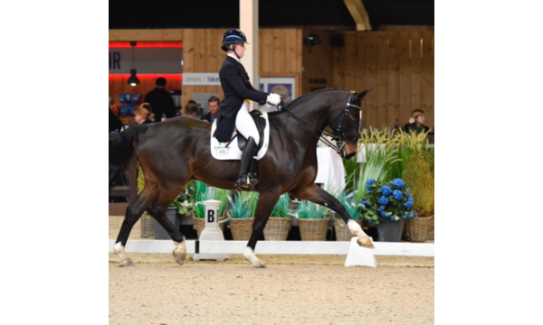 Kate Dwyer and Snowdon Faberge Score a Personal Best
